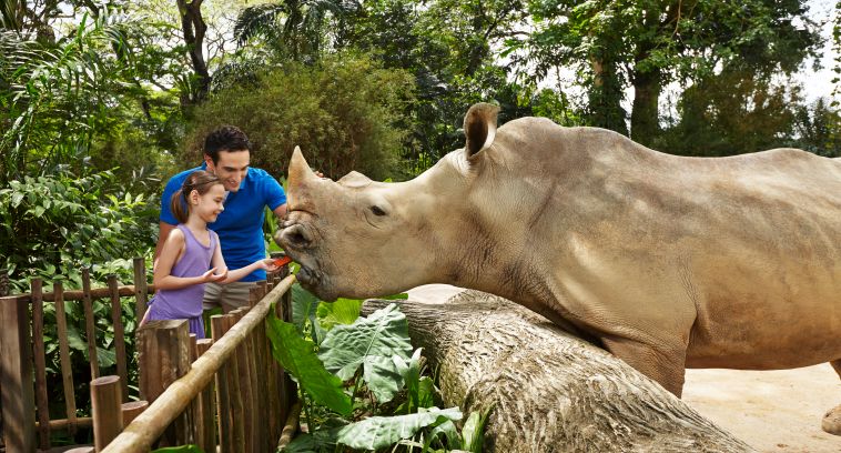 Singapur Zoo Tickets Singapur isango.de